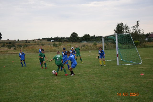 plewis 5